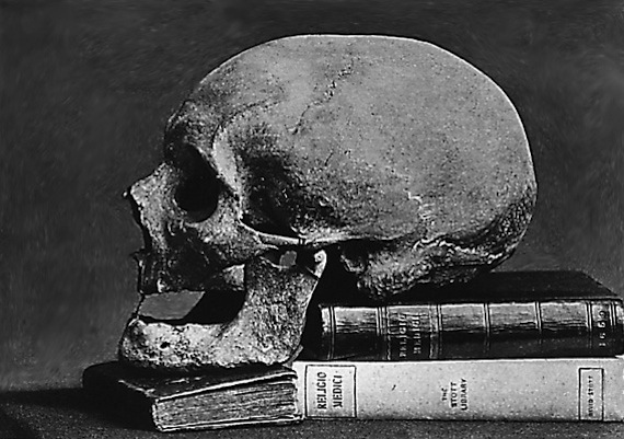 Skull